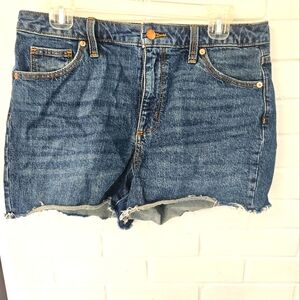 Universal Thread Vintage Midi Shorts